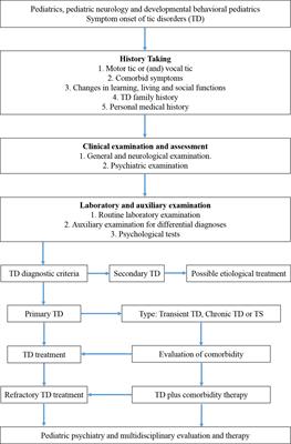 Current Status, Diagnosis, and Treatment Recommendation for Tic Disorders in China